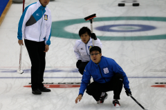2014亞太冰石壺錦標賽