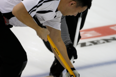 2014亞太冰石壺錦標賽