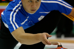 Pacific-Asia Curling Championships 2014
