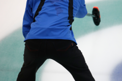 Pacific-Asia Curling Championships 2014