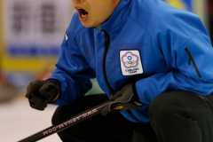 Pacific-Asia Curling Championships 2014